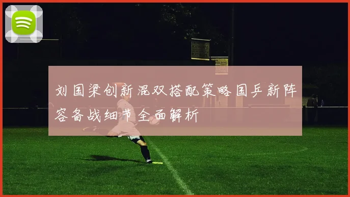 刘国梁创新混双搭配策略国乒新阵容备战细节全面解析